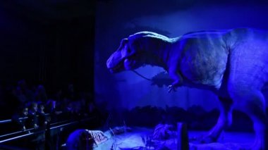 Çocuklar Doğal Tarih Müzesi 'nde bir Tyrannosaurus' un animatroniğini izliyorlar.