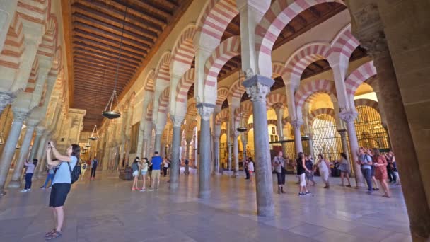 Cordoba Spagna Circa Giugno 2018 Vista Interna Della Cattedrale Della — Video Stock