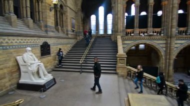 Charles Darwin heykeli ve Doğal Tarih Müzesi ziyaretçileri