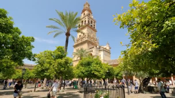 코르도바 스페인 2018 년까지 가능하다 관광객들은 대성당 오렌지 정원인 파올로데 — 비디오