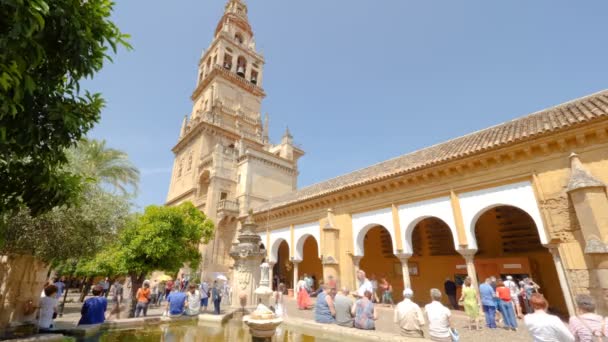 Cordoba Spain Circa May 2018 Tourists Visiting Patio Los Naranjos — Stockvideo