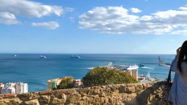 Turistas Miradouro Pôr Sol Panorama Vista Horizonte Cidade Porto Navios — Vídeo de Stock