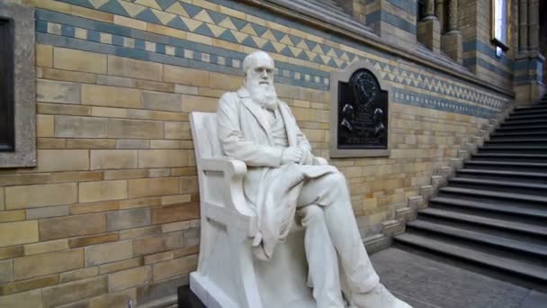 Darwin-Statue im Naturhistorischen Museum. Auszoomen — Stockvideo