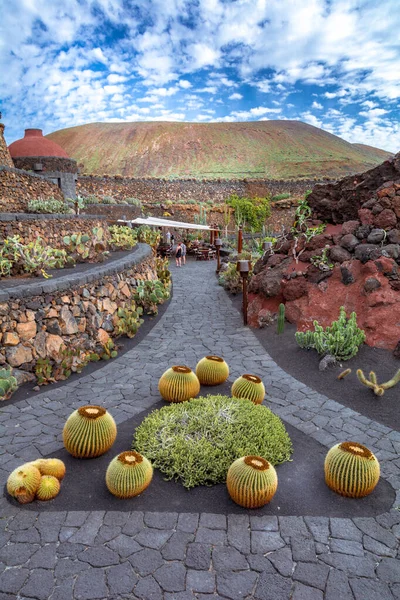 Lanzarote Spain Circa February 2019 Tropical Cactus Garden Lanzarote Created — Stockfoto