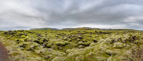 Panorama View Carpet Moss Musk Lichen Lava Fields Iceland Beautiful — Stock Photo, Image