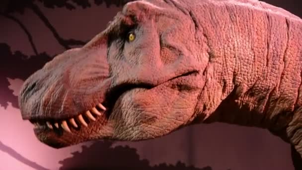 Close-up van een Tyrannosaurus in het Natuurhistorisch Museum — Stockvideo