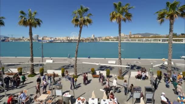 Malaga Španělsko Asi Srpen2018 Panorama Pohled Venkovní Nákupní Centrum Muelle — Stock video