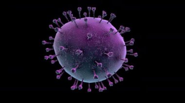 Coronavirus hastalığının detaylı elektronik mikroskop animasyonu COVID-19 enfeksiyon 3D Çin patojen solunum gribi covid virüsü alfa kanalı ile izole edildi.