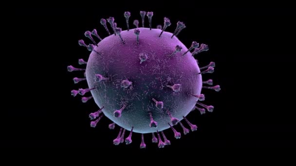 Animação eletrônica detalhada do microscópio da infecção COVID-19 da doença de Coronavirus. ilustração médica da renderização 3D do vírus covid da gripe respiratória do patógeno de China isolado com canal alfa — Vídeo de Stock
