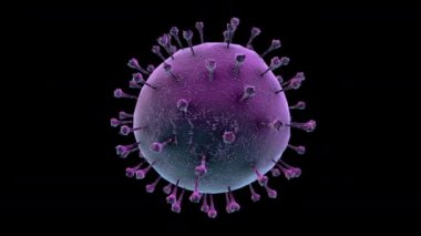 Coronavirus hastalığının detaylı elektronik mikroskop animasyonu COVID-19 enfeksiyon 3D Çin patojen solunum gribi covid virüsü alfa kanalı ile izole edildi.