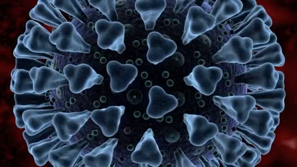 Coronavirus hastalığının detaylı elektronik mikroskop animasyonu COVID-19 enfeksiyonu 3D Çin patojen solunum gribi covid virüsünün tıbbi çizimi — Stok video