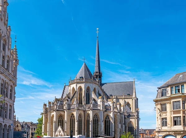 Paisaje Urbano Lovaina Bélgica Hermosos Edificios Históricos Con Sus Famosas —  Fotos de Stock