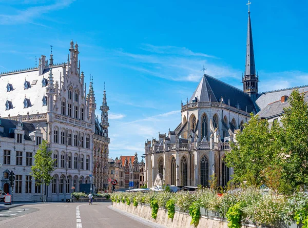 Leuven Belçika Nın Şehir Manzarası Güzel Tarihi Binalar Ünlü Cepheleri — Stok fotoğraf