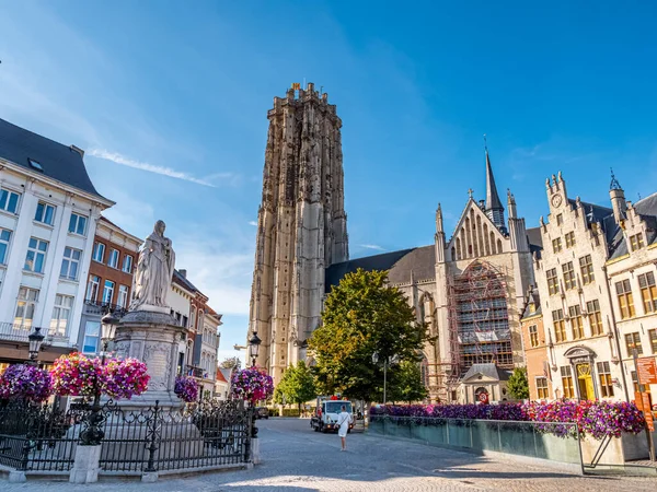 Catedral Rumbold Estilo Gótico Brabantino Centro Histórico Mechelen Bélgica — Fotografia de Stock