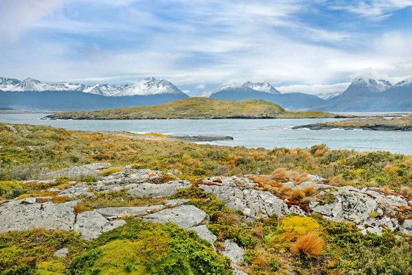 Pohled na patagonské hory z ostrova pokrytého zelenou a žlutou vegetací na Beagle Channel, proti modrému nebi. — Stock fotografie