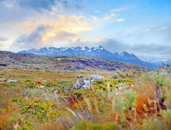 Widok na góry Patagonii z wyspy objętej zieloną i żółtą roślinnością na kanale Beagle, przed kolorowym niebem o zachodzie słońca. — Zdjęcie stockowe