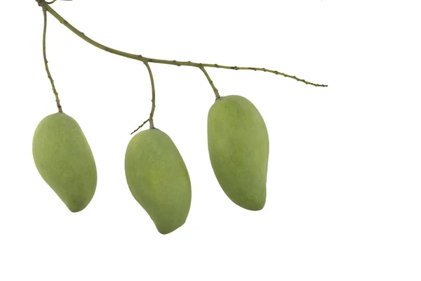 Bouquet of mango isolated on white  background. Clipping path. — Stock Photo, Image