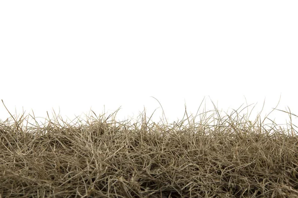 Суха трава ізольована на білому тлі. сухе трав'яне поле з затискачем — стокове фото