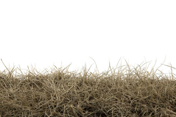 Dry grass isolated on white background.dry grass field with clip