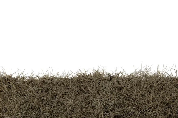 在白色背景上隔离的干草.带夹子的干草场 — 图库照片
