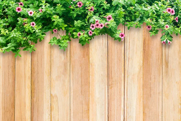 Wooden background and Ivy leaves with space. — Stock Photo, Image