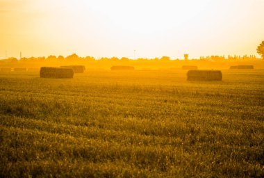 Güneş ufuktan batıyor.