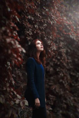 uçuş yüksekliğinden görkemli dağlar