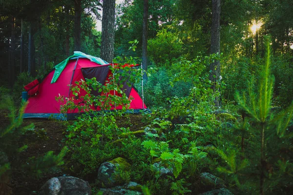 森の夕方の赤いテント — ストック写真
