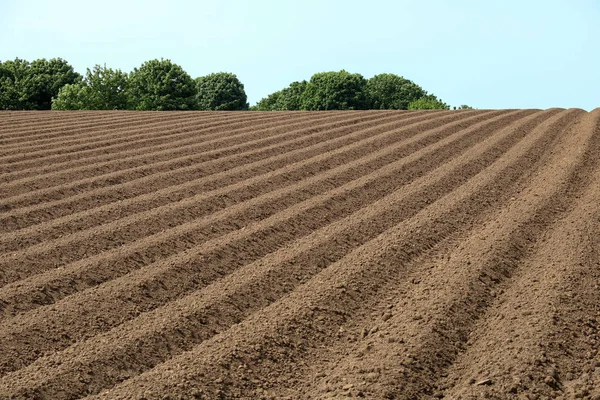 Freshly ploughed field on a sunny summer day