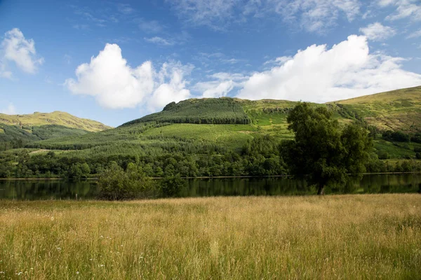 Hillside Loch Yaz Aylarında Skoç Dağlık — Stok fotoğraf