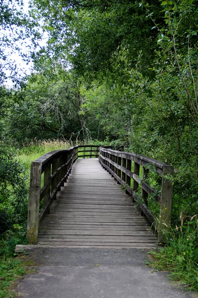 Деревянный Мост Охватывающий Небольшую Сельскую Реку — стоковое фото