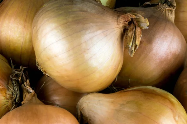 Close View Pile Fresh Onions — Stock Photo, Image