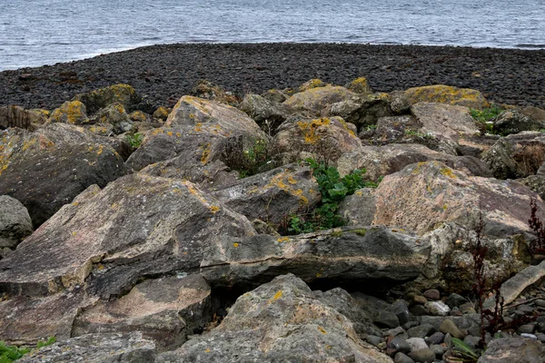 Rocks Pebbles Coastal Shingle Beach — Stock Photo, Image
