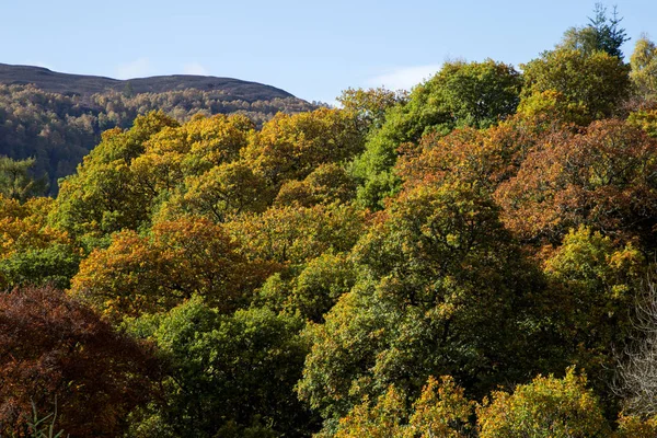 Mountain Forest View Perthshire Escocia Otoño — Foto de Stock