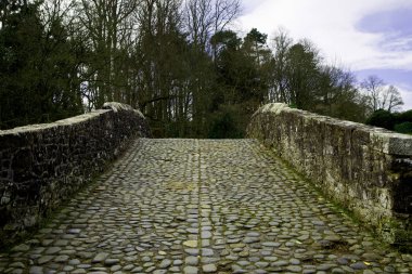 Arnavut kaldırımlı Brig O Doon Alloway Ayr Scotland