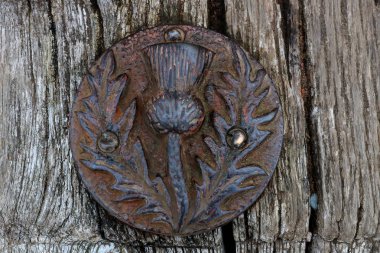 Ancient Scottish Thistle Emblem on an Old Wooden Post clipart