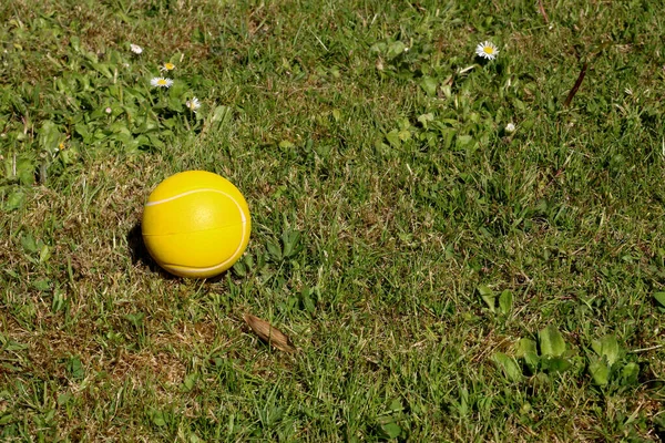 Gelber Moosgummi Tennisball Auf Rauem Rasen — Stockfoto