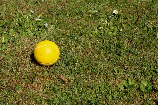 Gult Skum Gummi Tennisboll Grov Gräsmatta — Stockfoto