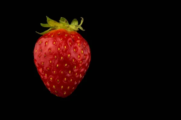 Organic Strawberry Isolated Black Background — Stock Photo, Image