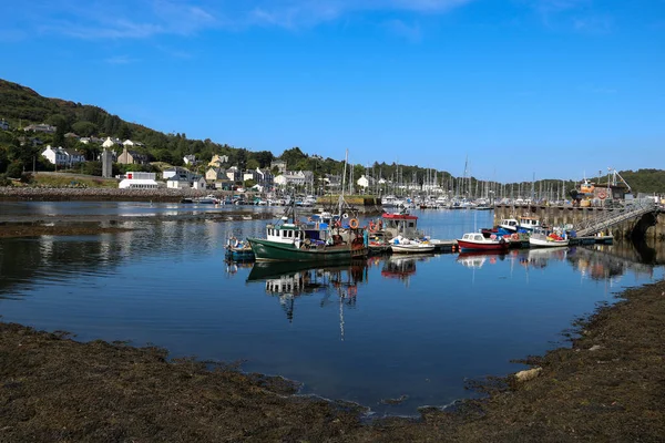 Tarbert Harbour Argull Bute Skotsku Létě — Stock fotografie