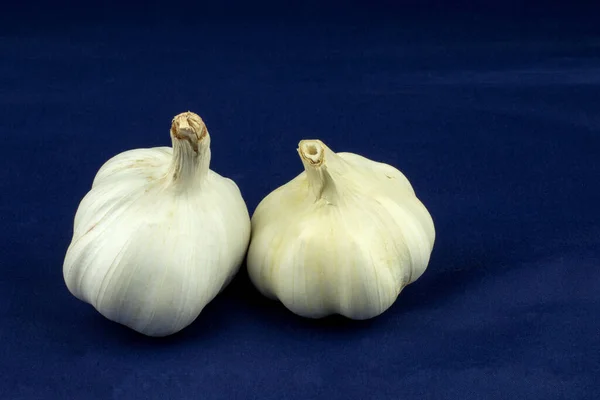 Two Garlic Bulbs Isolated Blue Background — Stock Photo, Image