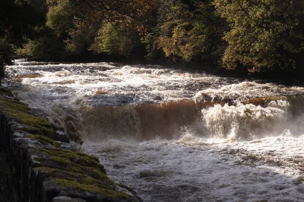 Wildwasser Und Wasserfall Mit Bäumen Und Moosbewachsener Steinmauer — Stockfoto