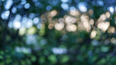 Çok renkli arka plan mavi, yeşil, altın ve diğer renkler. Arka plan, parlaklık ve hafif lekeler bulanıklık.