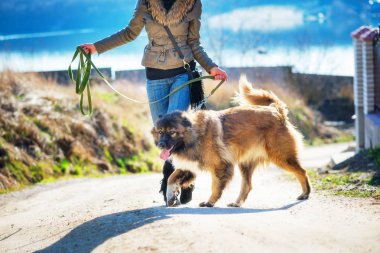 Kafkas çoban ile keyifli bahar günde oynayan genç kadın