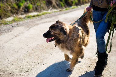 Kafkas çoban ile keyifli bahar günde oynayan genç kadın