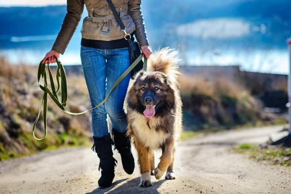 Kafkas çoban ile keyifli bahar günde oynayan genç kadın