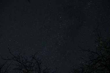 Ay ve yıldızlarla dolu gece gökyüzü bir orman üzerinden ışık tarafından geçen bulutlar.