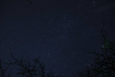 Ay ve yıldızlarla dolu gece gökyüzü bir orman üzerinden ışık tarafından geçen bulutlar.