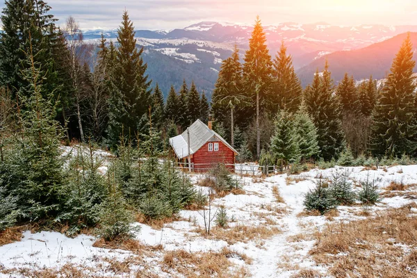 Widok Dom Pinewood Podkarpacie — Zdjęcie stockowe