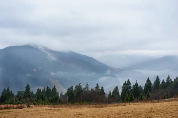 Schöne Aussicht Mit Morgennebel Zeitigen Frühling Den Karpaten — Stockfoto